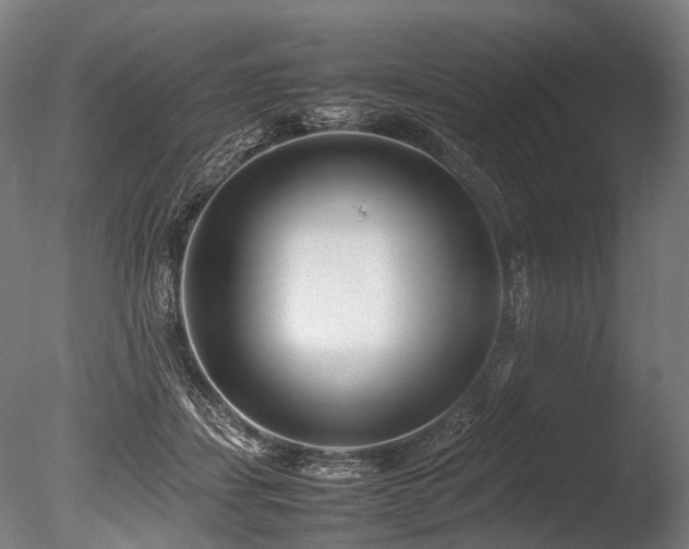 X0000086040459200703231245