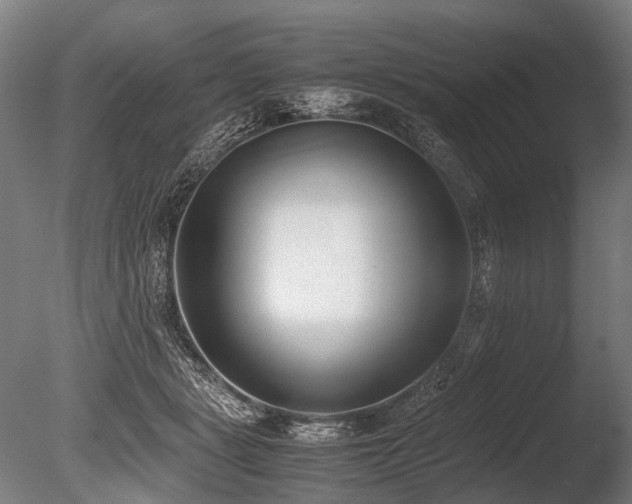 X0000086040461200703231245