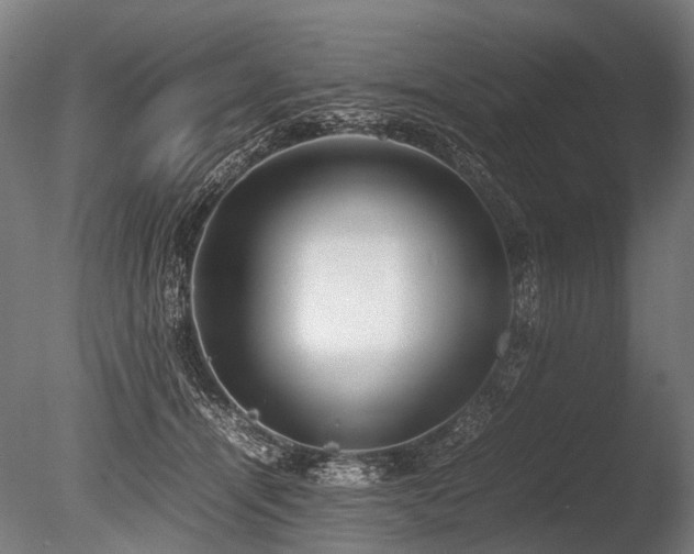 X0000086040464200703231245