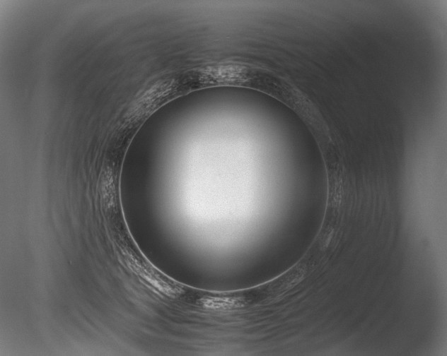 X0000086040465200703231245