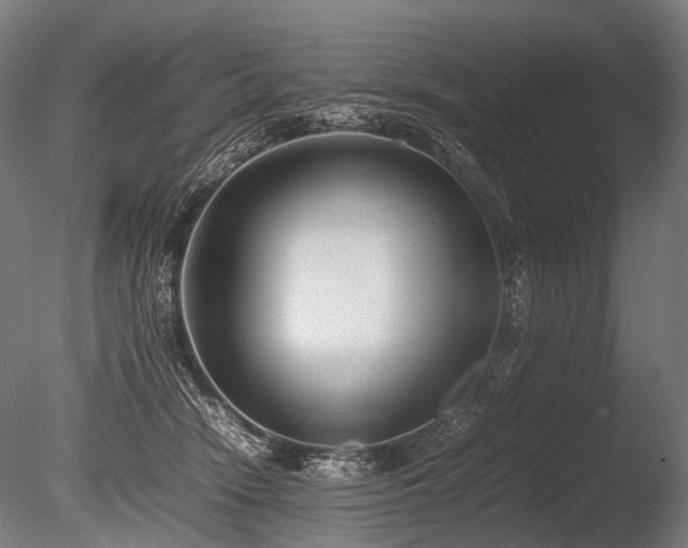 X0000086040466200703231245