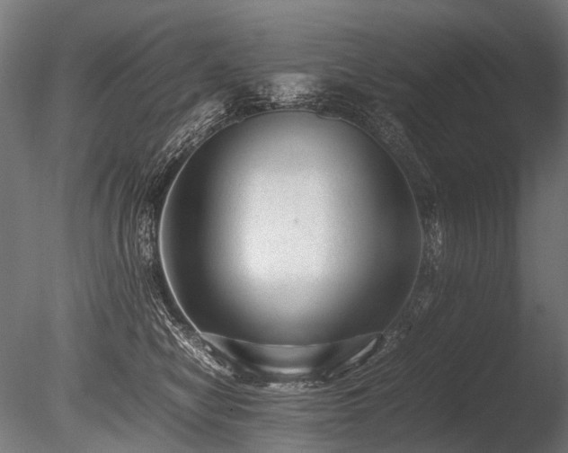 X0000086040470200703231245
