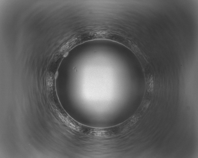 X0000086040472200703231245