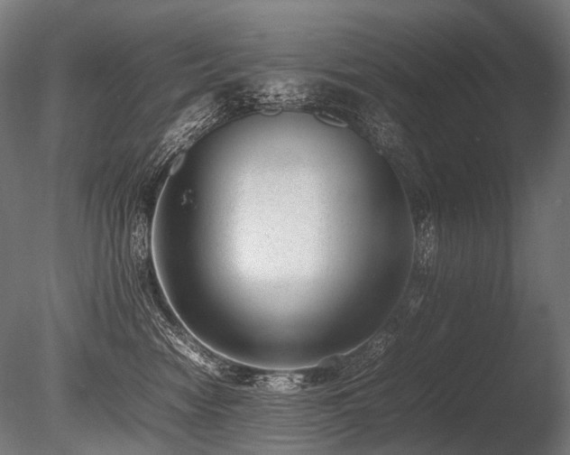 X0000086040474200703231245
