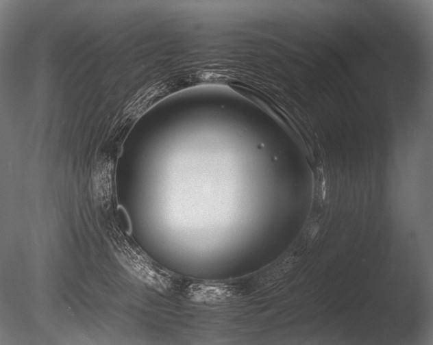 X0000086040475200703231245