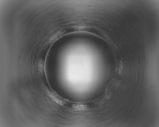 X0000086040476200703231245