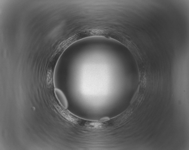 X0000086040478200703231245