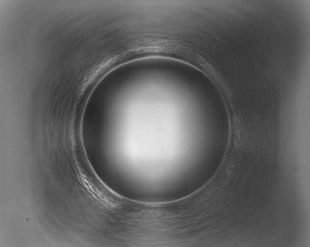 X0000086040482200703231244