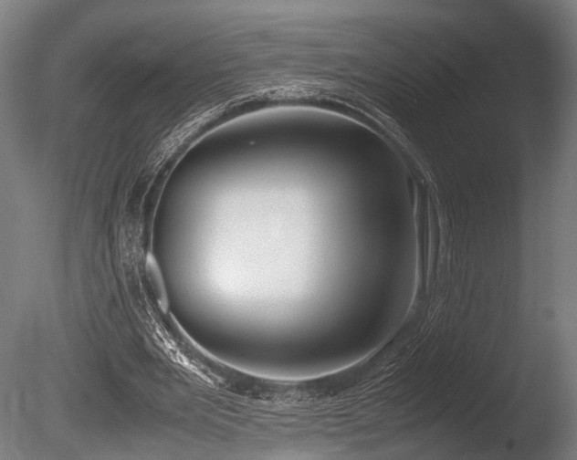 X0000086040485200703231244