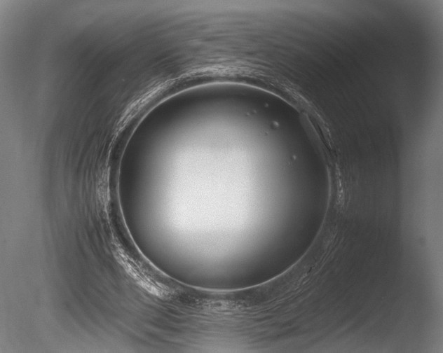 X0000086040486200703231244