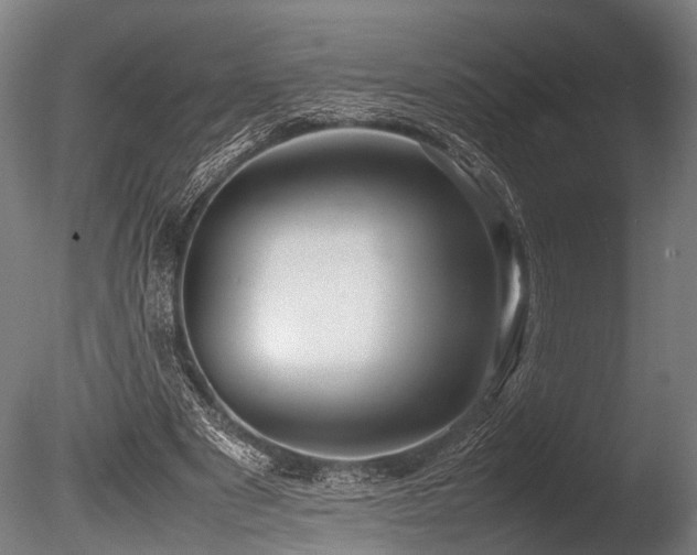X0000086040489200703231244
