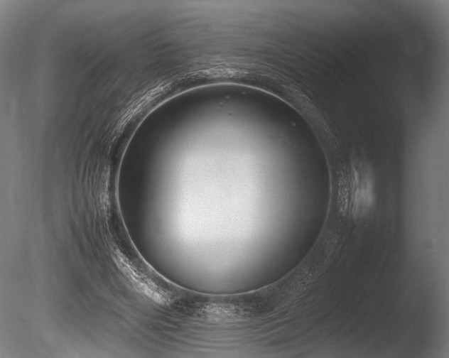 X0000086040490200703231244