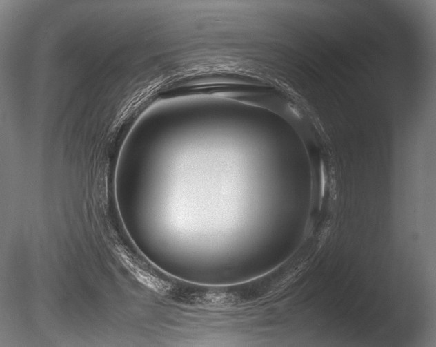 X0000086040493200703231244