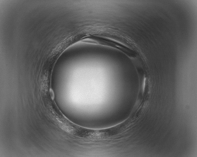 X0000086040497200703231244