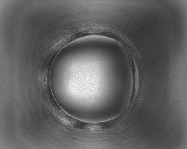 X0000086040501200703231244