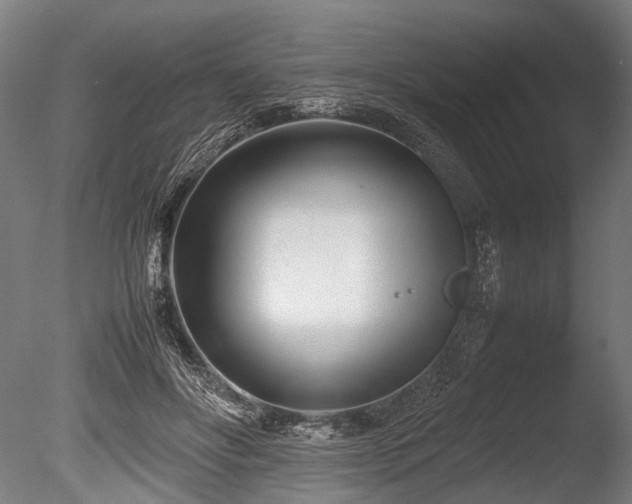 X0000086040502200703231244