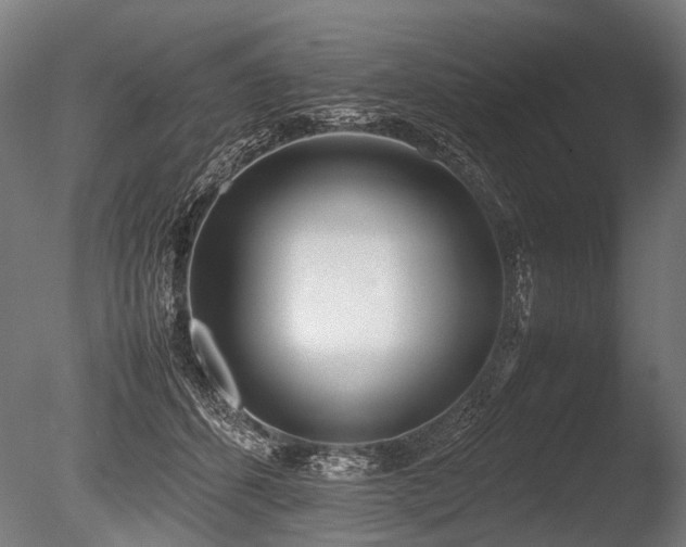X0000086040512200703231244