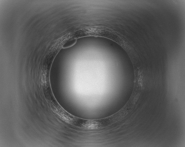 X0000086040514200703231244