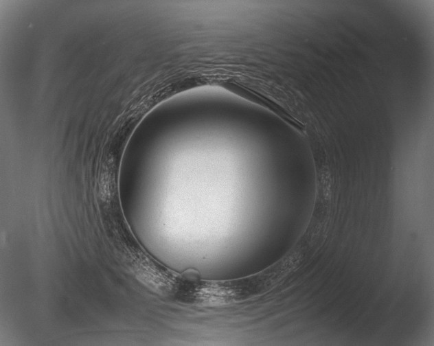 X0000086040515200703231244