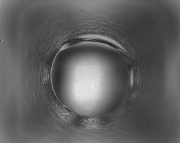 X0000086040517200703231244