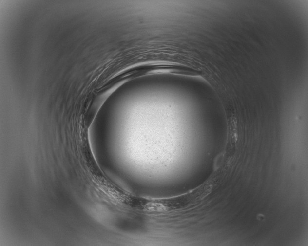 X0000086040519200703231244