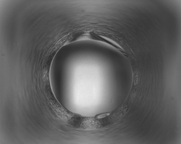 X0000086040521200703231244