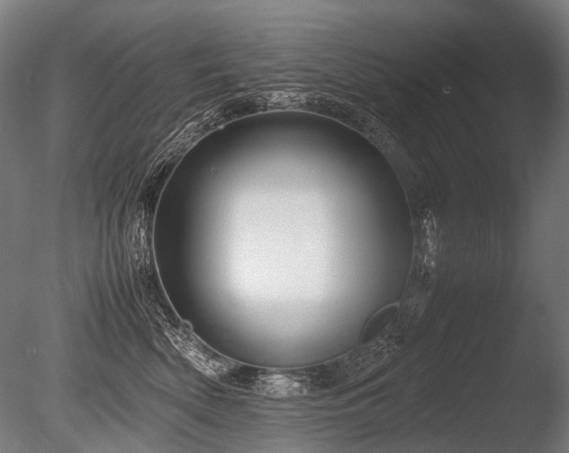 X0000086040522200703231244