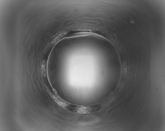 X0000086040527200703231244