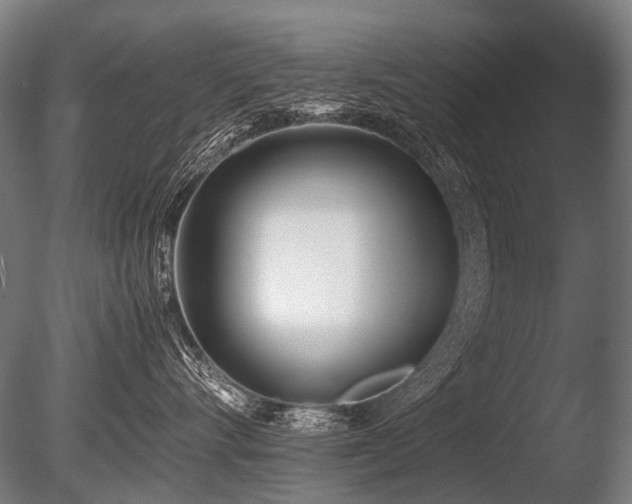 X0000086040528200703231244