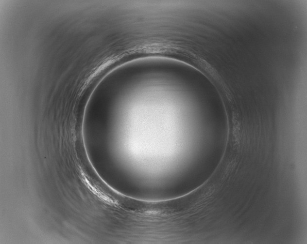 X0000086040530200703231243