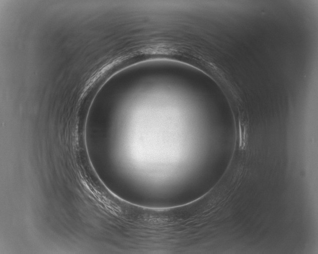 X0000086040531200703231243