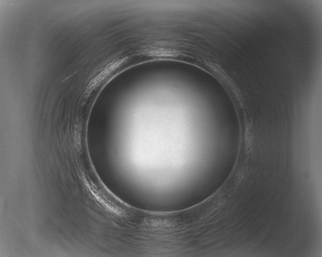 X0000086040533200703231243