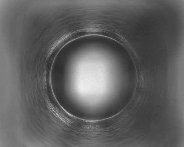 X0000086040535200703231243