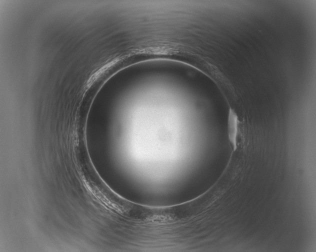 X0000086040536200703231243