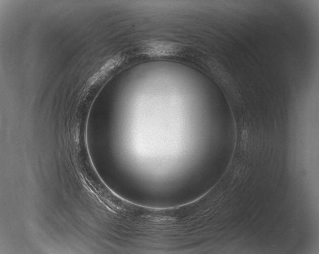 X0000086040539200703231243