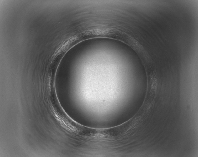 X0000086040542200703231243