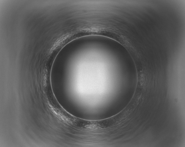 X0000086040544200703231243