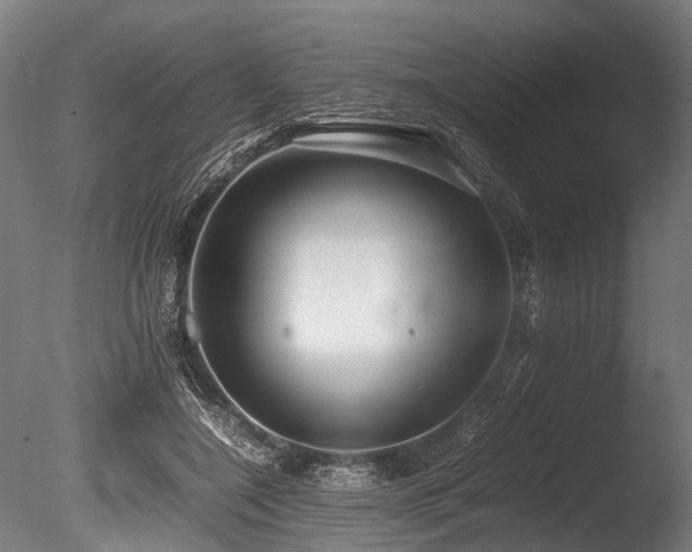 X0000086040548200703231243