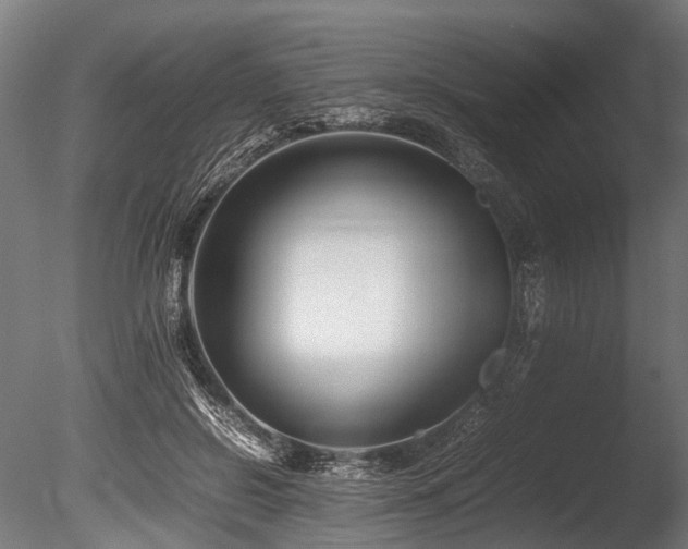 X0000086040550200703231243