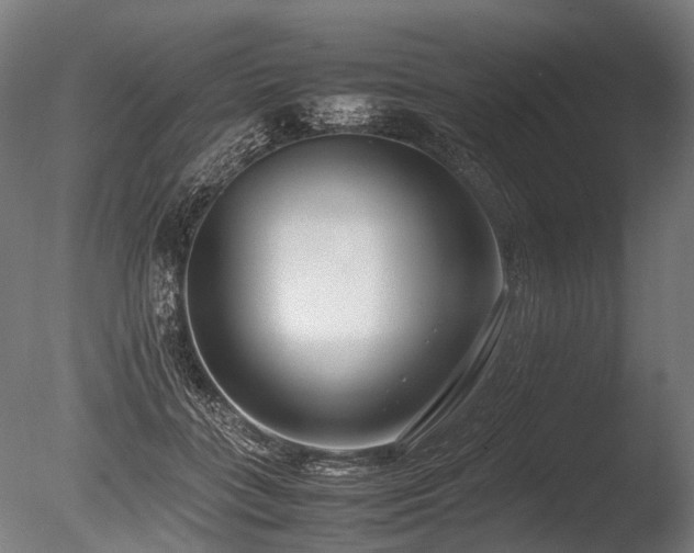 X0000086040555200703231243