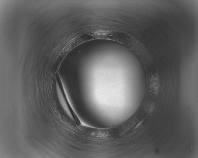 X0000086040559200703231243