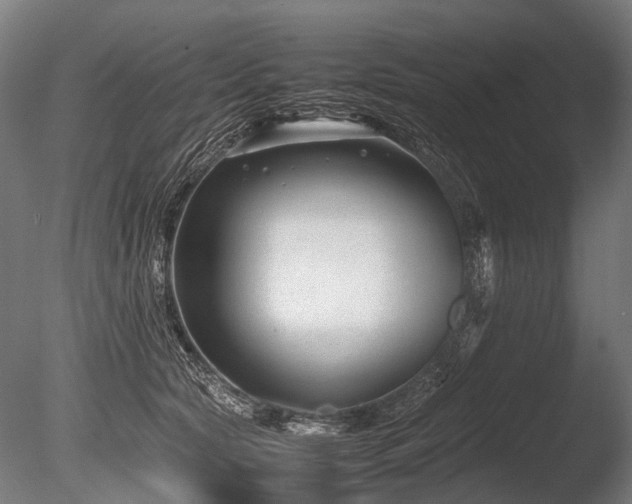 X0000086040561200703231243