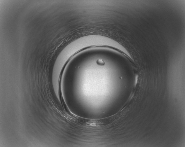X0000086040564200703231243