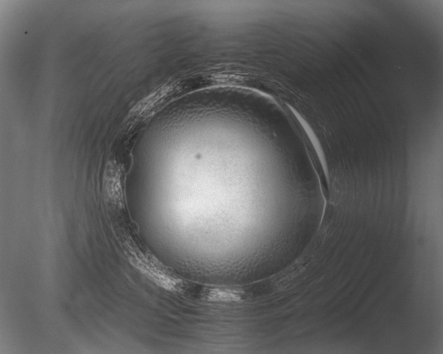 X0000086040573200703231244