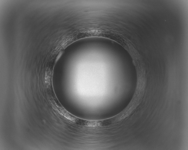 X0000086040576200703231244