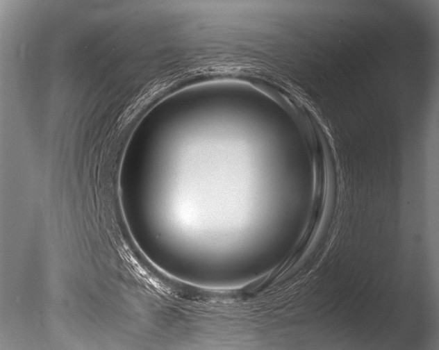 X0000086040577200703231243