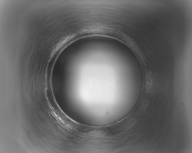 X0000086040578200703231243