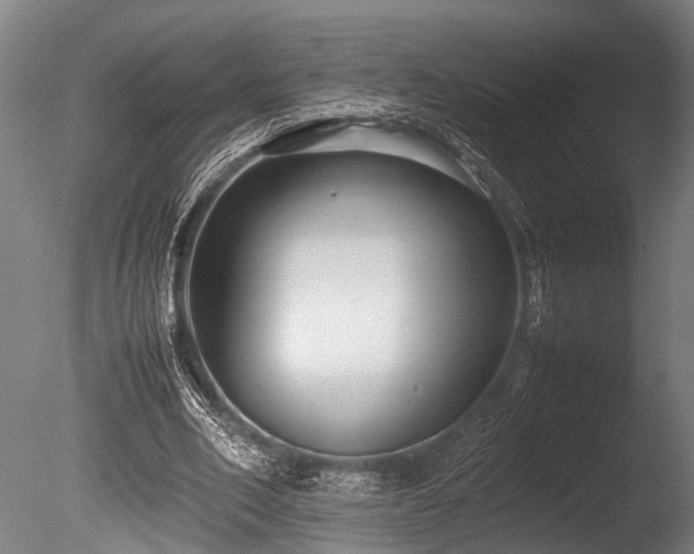 X0000086040582200703231243