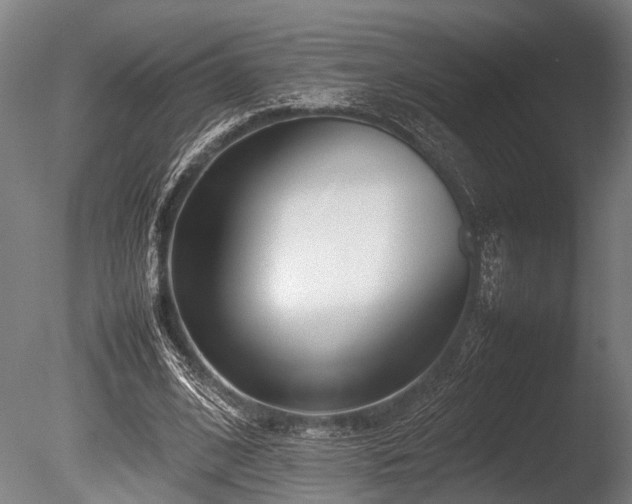 X0000086040584200703231243