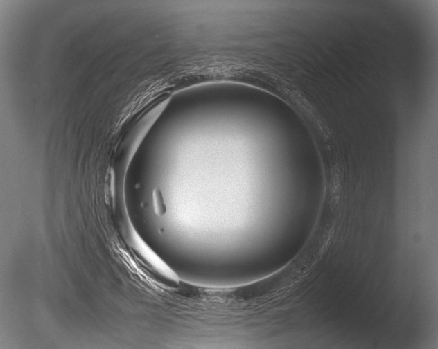 X0000086040585200703231243